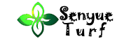 Español-Sitio-Web-Logo
